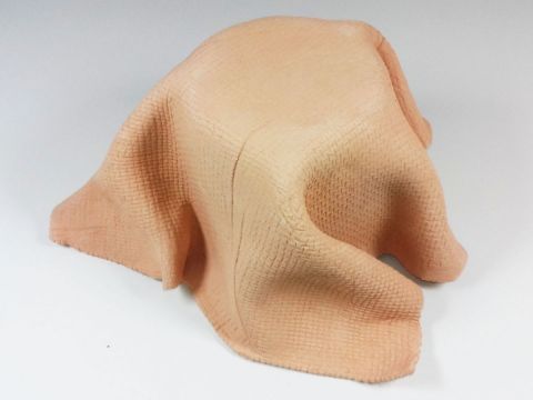 Sculpture Covering The Essence Of Life