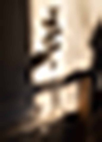 No Division Of Joy IV