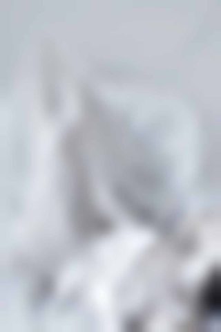 Landscape Of Exploration 1