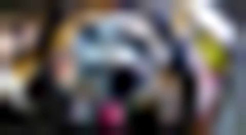 You See The World As You Are