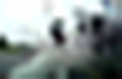 Life Doesn't Have To Be Easy