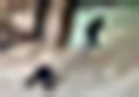 Don’t Bothered By Small Things