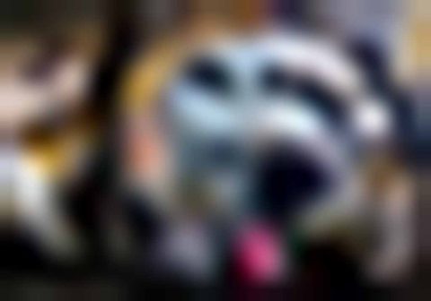 A Destination Also Accepts Bad Roads