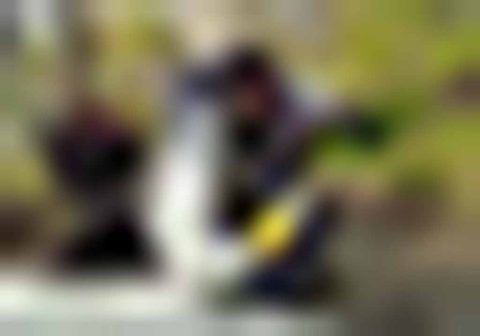 I Can Because I Want What I Must