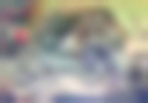 Bravery And Megalomania