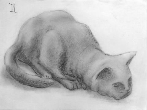 Kitty Cat II 0 sketch