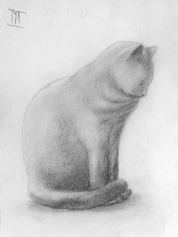 Kitty Cat III 0 sketch